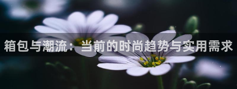 意昂体育3官方客服电话