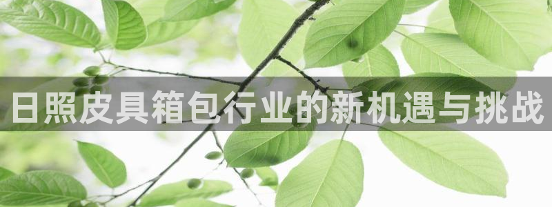 意昂体育3招商电话号码