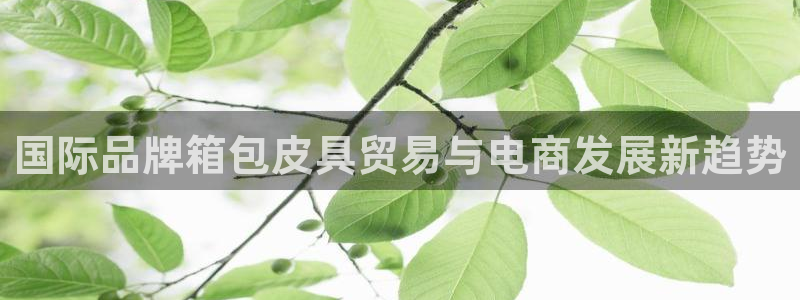 意昂体育3招商电话地址查询