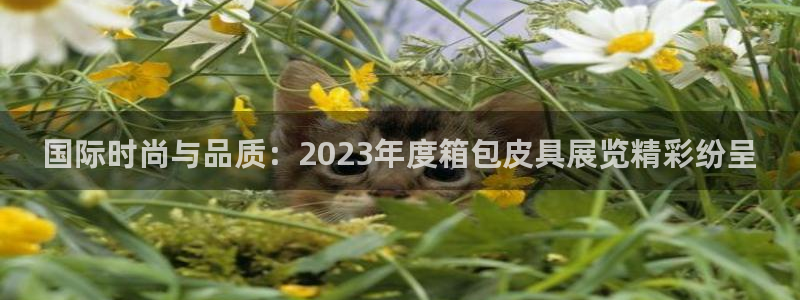 意昂体育3招商电话是多少啊