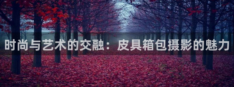 意昂体育3平台注册流程视频