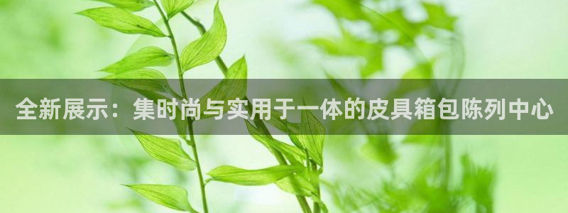 意昂3开户