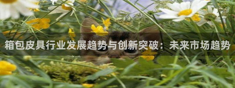 意昂体育3平台注册要钱吗安全吗