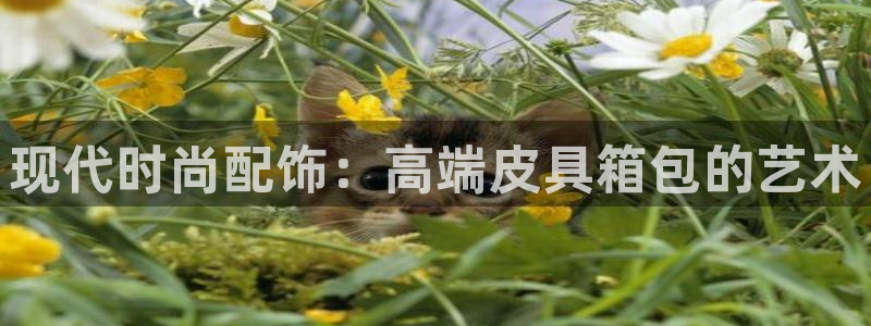 意昂体育3平台是正规平台吗安全吗