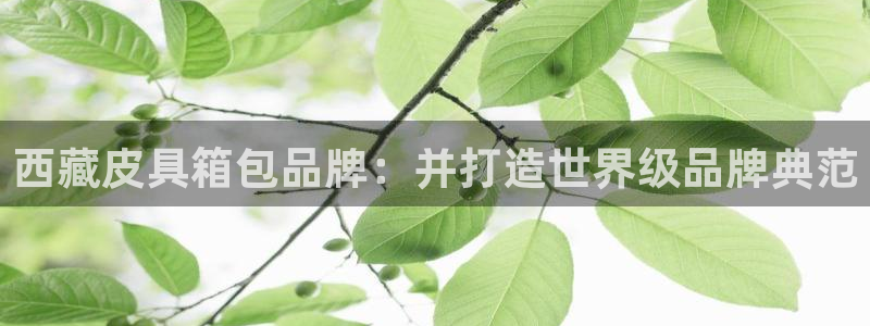 意昂体育3平台是正规平台吗知乎