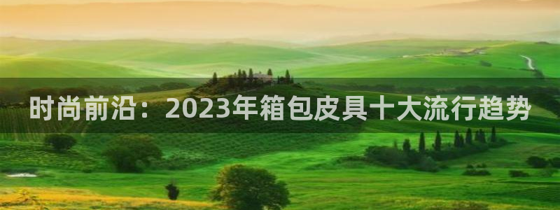 意昂平台体育