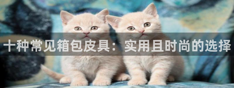意昂3娱乐平台