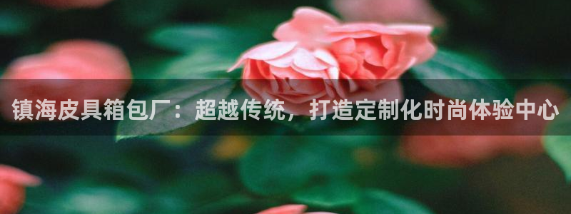 意昂体育3平台注册流程视频