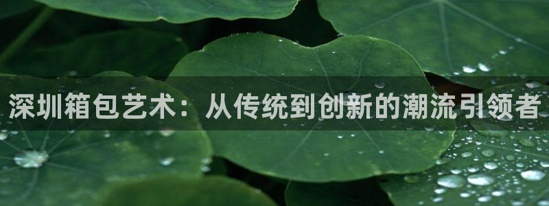 海南意昂体育3发展怎么样