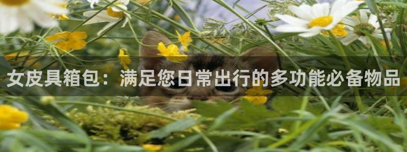 意昂3集团简介