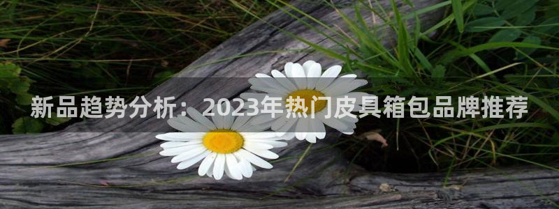 意昂体育3招商电话号码是多少啊
